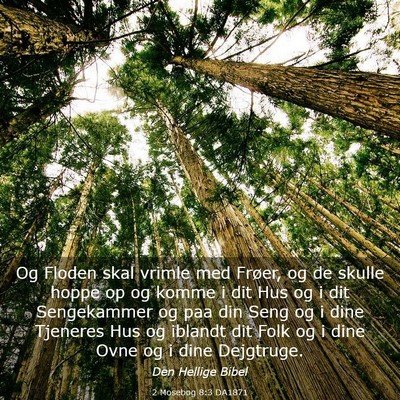 Picture 03 - 2 Mosebog 8:3 DA1871 - Og Floden skal vrimle med Frøer, og de skulle - Bible Verse Picture