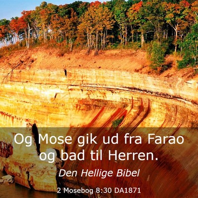 Picture 03 - 2 Mosebog 8:30 DA1871 - Og Mose gik ud fra Farao og bad til - Bible Verse Picture