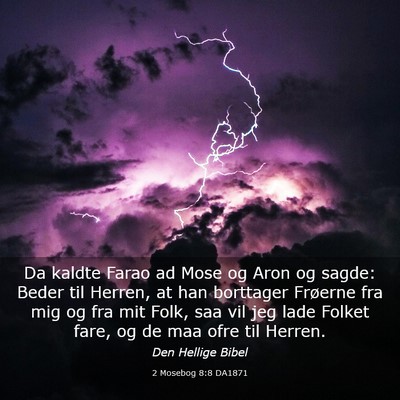 Picture 03 - 2 Mosebog 8:8 DA1871 - Da kaldte Farao ad Mose og Aron og sagde: Beder - Bible Verse Picture