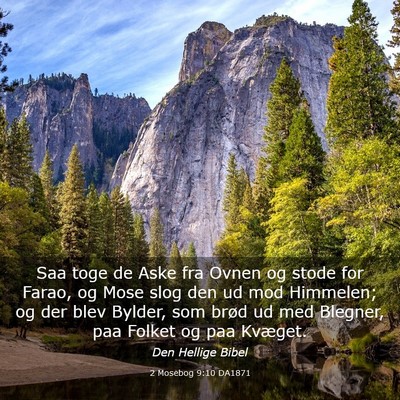 Picture 03 - 2 Mosebog 9:10 DA1871 - Saa toge de Aske fra Ovnen og stode for Farao, og - Bible Verse Picture