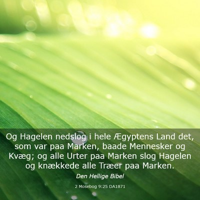 Picture 03 - 2 Mosebog 9:25 DA1871 - Og Hagelen nedslog i hele Ægyptens Land det, som - Bible Verse Picture