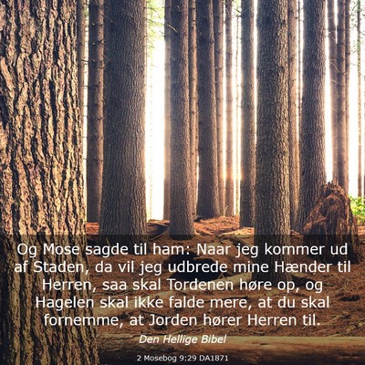 Picture 03 - 2 Mosebog 9:29 DA1871 - Og Mose sagde til ham: Naar jeg kommer ud af - Bible Verse Picture