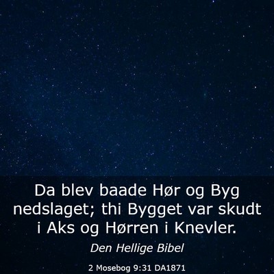 Picture 03 - 2 Mosebog 9:31 DA1871 - Da blev baade Hør og Byg nedslaget; thi Bygget - Bible Verse Picture