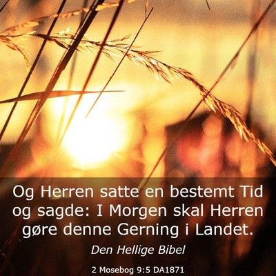 Picture 03 - 2 Mosebog 9:5 DA1871 - Og Herren satte en bestemt Tid og sagde: I Morgen - Bible Verse Picture