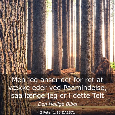 Picture 03 - 2 Peter 1:13 DA1871 - Men jeg anser det for ret at vække eder ved - Bible Verse Picture