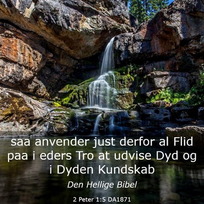 Picture 03 - 2 Peter 1:5 DA1871 - saa anvender just derfor al Flid paa i eders Tro - Bible Verse Picture