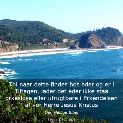 Picture 03 - 2 Peter 1:8 DA1871 - Thi naar dette findes hos eder og er i Tiltagen, - Bible Verse Picture