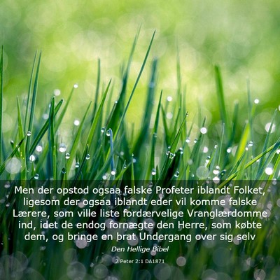 Picture 03 - 2 Peter 2:1 DA1871 - Men der opstod ogsaa falske Profeter iblandt - Bible Verse Picture