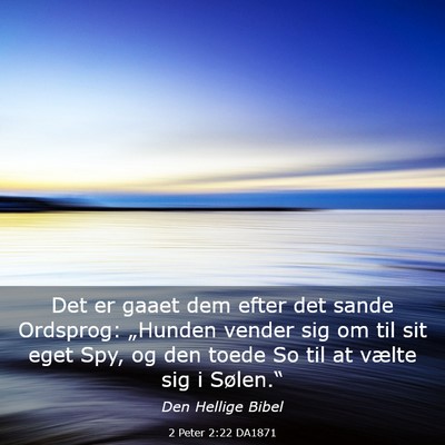 Picture 03 - 2 Peter 2:22 DA1871 - Det er gaaet dem efter det sande Ordsprog: - Bible Verse Picture