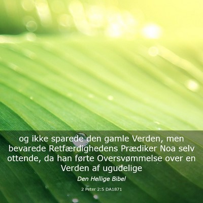 Picture 03 - 2 Peter 2:5 DA1871 - og ikke sparede den gamle Verden, men bevarede - Bible Verse Picture
