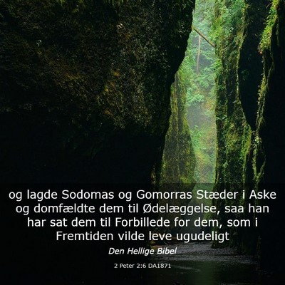 Picture 03 - 2 Peter 2:6 DA1871 - og lagde Sodomas og Gomorras Stæder i Aske og - Bible Verse Picture