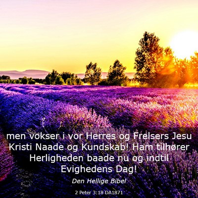 Picture 03 - 2 Peter 3:18 DA1871 - men vokser i vor Herres og Frelsers Jesu Kristi - Bible Verse Picture