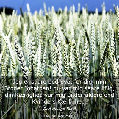 Picture 03 - 2 Samuel 1:26 DA1871 - Jeg er saare bedrøvet for dig, min Broder - Bible Verse Picture