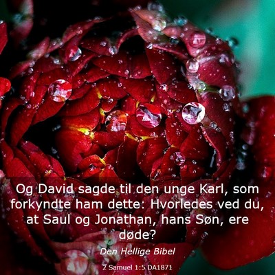 Picture 03 - 2 Samuel 1:5 DA1871 - Og David sagde til den unge Karl, som forkyndte - Bible Verse Picture