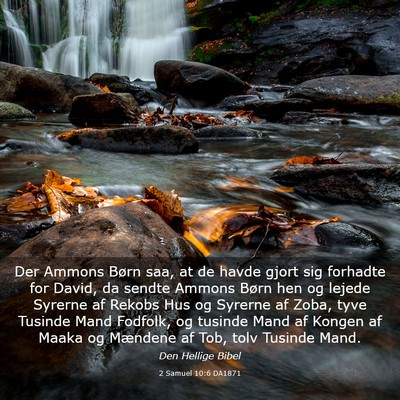 Picture 03 - 2 Samuel 10:6 DA1871 - Der Ammons Børn saa, at de havde gjort sig - Bible Verse Picture