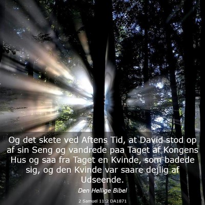 Picture 03 - 2 Samuel 11:2 DA1871 - Og det skete ved Aftens Tid, at David stod op af - Bible Verse Picture
