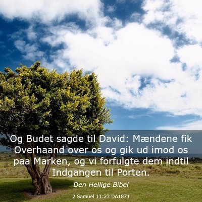 Picture 03 - 2 Samuel 11:23 DA1871 - Og Budet sagde til David: Mændene fik Overhaand - Bible Verse Picture