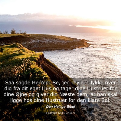 Picture 03 - 2 Samuel 12:11 DA1871 - Saa sagde Herren: Se, jeg rejser Ulykke over dig - Bible Verse Picture
