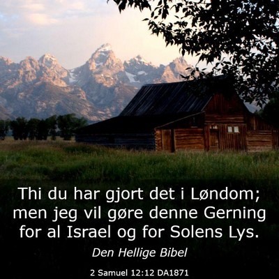 Picture 03 - 2 Samuel 12:12 DA1871 - Thi du har gjort det i Løndom; men jeg vil gøre - Bible Verse Picture