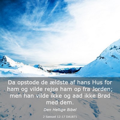 Picture 03 - 2 Samuel 12:17 DA1871 - Da opstode de ældste af hans Hus for ham og - Bible Verse Picture