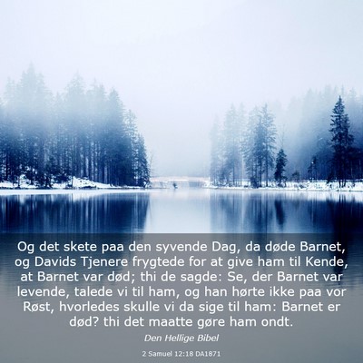 Picture 03 - 2 Samuel 12:18 DA1871 - Og det skete paa den syvende Dag, da døde - Bible Verse Picture