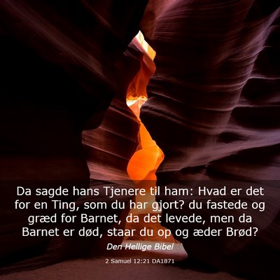 Picture 03 - 2 Samuel 12:21 DA1871 - Da sagde hans Tjenere til ham: Hvad er det for en - Bible Verse Picture