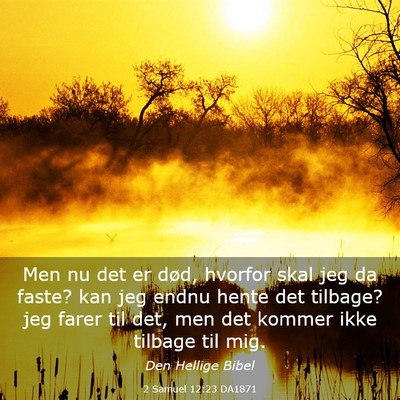 Picture 03 - 2 Samuel 12:23 DA1871 - Men nu det er død, hvorfor skal jeg da faste? - Bible Verse Picture