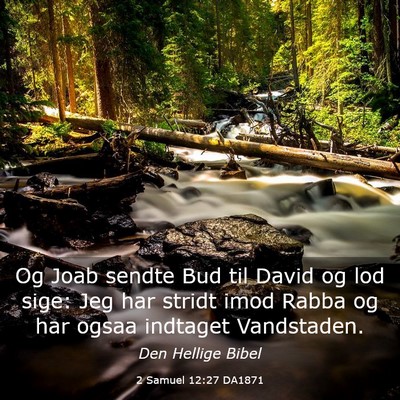 Picture 03 - 2 Samuel 12:27 DA1871 - Og Joab sendte Bud til David og lod sige: Jeg har - Bible Verse Picture