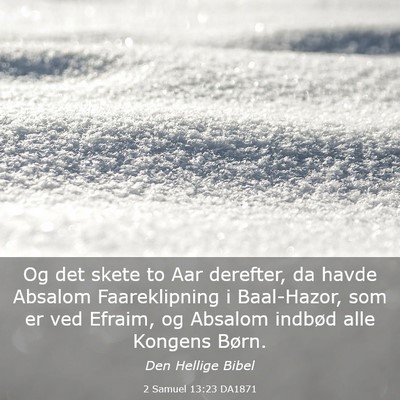 Picture 03 - 2 Samuel 13:23 DA1871 - Og det skete to Aar derefter, da havde Absalom - Bible Verse Picture