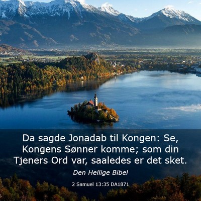 Picture 03 - 2 Samuel 13:35 DA1871 - Da sagde Jonadab til Kongen: Se, Kongens Sønner - Bible Verse Picture