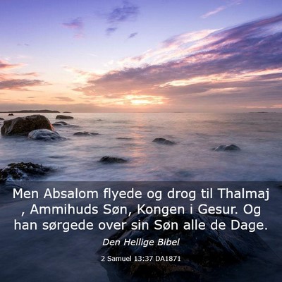Picture 03 - 2 Samuel 13:37 DA1871 - Men Absalom flyede og drog til Thalmaj , Ammihuds - Bible Verse Picture