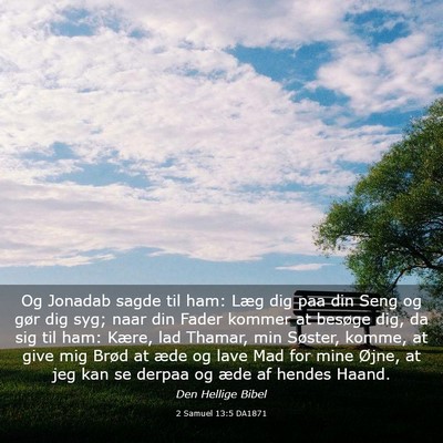 Picture 03 - 2 Samuel 13:5 DA1871 - Og Jonadab sagde til ham: Læg dig paa din Seng - Bible Verse Picture