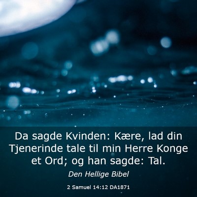 Picture 03 - 2 Samuel 14:12 DA1871 - Da sagde Kvinden: Kære, lad din Tjenerinde tale - Bible Verse Picture