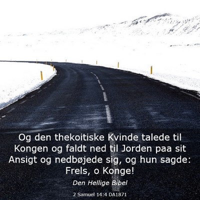 Picture 03 - 2 Samuel 14:4 DA1871 - Og den thekoitiske Kvinde talede til Kongen og - Bible Verse Picture