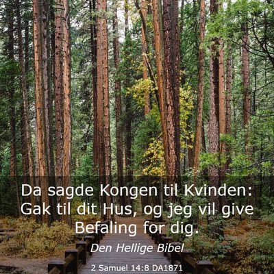 Picture 03 - 2 Samuel 14:8 DA1871 - Da sagde Kongen til Kvinden: Gak til dit Hus, og - Bible Verse Picture