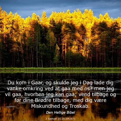 Picture 03 - 2 Samuel 15:20 DA1871 - Du kom i Gaar, og skulde jeg i Dag lade dig vanke - Bible Verse Picture