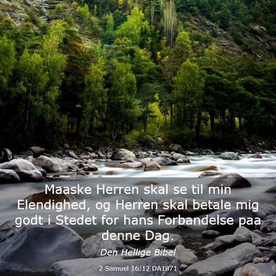 Picture 03 - 2 Samuel 16:12 DA1871 - Maaske Herren skal se til min Elendighed, og - Bible Verse Picture