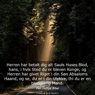 Picture 03 - 2 Samuel 16:8 DA1871 - Herren har betalt dig alt Sauls Huses Blod, hans, - Bible Verse Picture