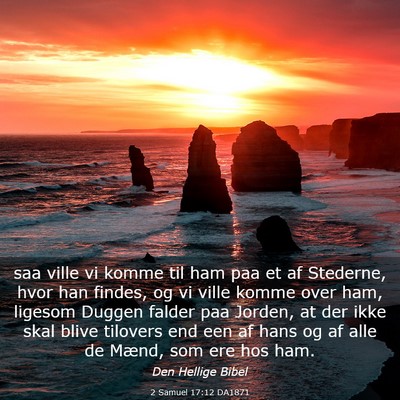 Picture 03 - 2 Samuel 17:12 DA1871 - saa ville vi komme til ham paa et af Stederne, - Bible Verse Picture