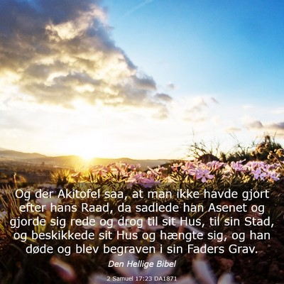 Picture 03 - 2 Samuel 17:23 DA1871 - Og der Akitofel saa, at man ikke havde gjort - Bible Verse Picture