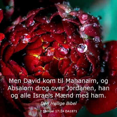 Picture 03 - 2 Samuel 17:24 DA1871 - Men David kom til Mahanaim, og Absalom drog over - Bible Verse Picture