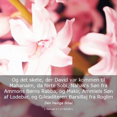 Picture 03 - 2 Samuel 17:27 DA1871 - Og det skete, der David var kommen til Mahanaim, - Bible Verse Picture