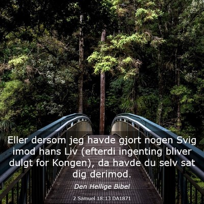 Picture 03 - 2 Samuel 18:13 DA1871 - Eller dersom jeg havde gjort nogen Svig imod hans - Bible Verse Picture