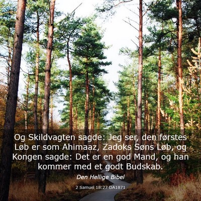 Picture 03 - 2 Samuel 18:27 DA1871 - Og Skildvagten sagde: Jeg ser, den førstes Løb - Bible Verse Picture
