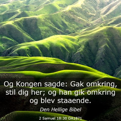 Picture 03 - 2 Samuel 18:30 DA1871 - Og Kongen sagde: Gak omkring, stil dig her; og - Bible Verse Picture