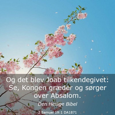 Picture 03 - 2 Samuel 19:1 DA1871 - Og det blev Joab tilkendegivet: Se, Kongen - Bible Verse Picture