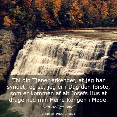 Picture 03 - 2 Samuel 19:20 DA1871 - Thi din Tjener erkender, at jeg har syndet; og - Bible Verse Picture