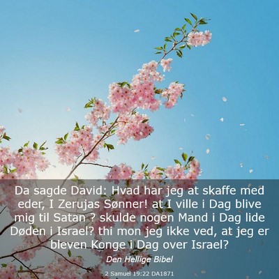 Picture 03 - 2 Samuel 19:22 DA1871 - Da sagde David: Hvad har jeg at skaffe med eder, - Bible Verse Picture
