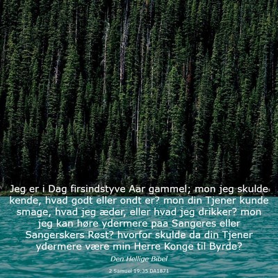 Picture 03 - 2 Samuel 19:35 DA1871 - Jeg er i Dag firsindstyve Aar gammel; mon jeg - Bible Verse Picture