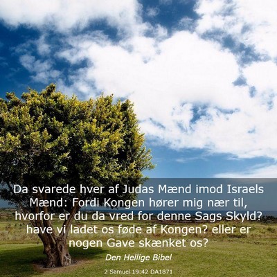 Picture 03 - 2 Samuel 19:42 DA1871 - Da svarede hver af Judas Mænd imod Israels - Bible Verse Picture